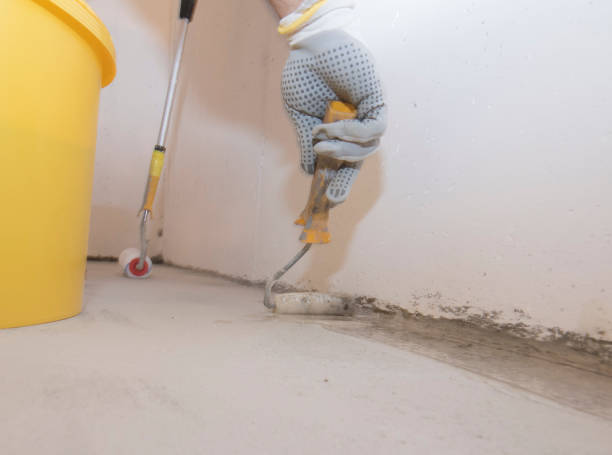 Best Fumigation Services  in Caribou, ME